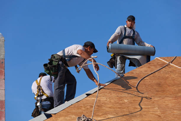 Best Local Roofing Companies  in Port Allegany, PA
